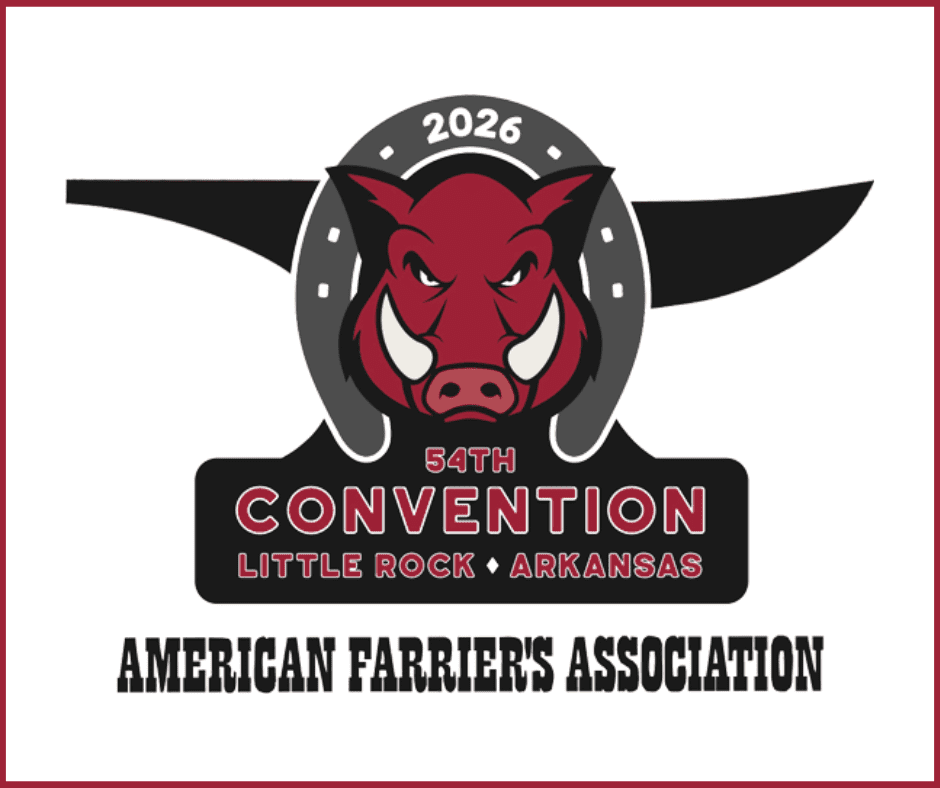 AFA Convention 2026