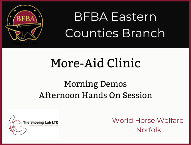 BFBA Eastern Counties More-Aid Clinic