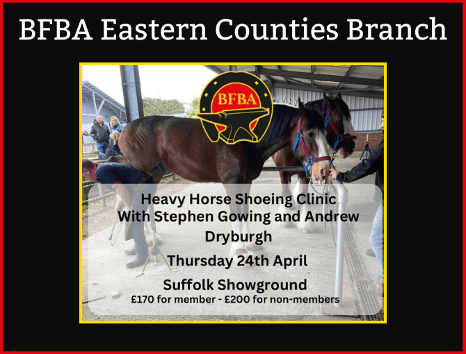 BFBA Eastern Counties Heavy Horse Shoeing Clinic